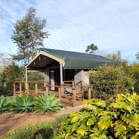 Southern Sky Glamping Mount Tamborine Exterior foto